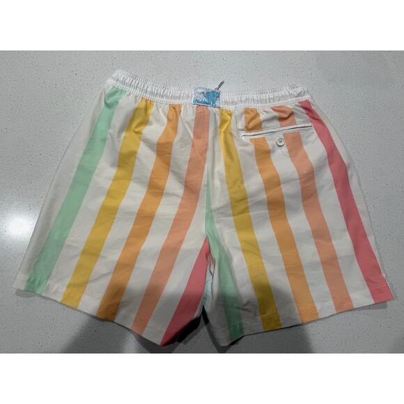 Abstract Pastel Striped Chubbies Swim Trunks L - Picture 2 of 4